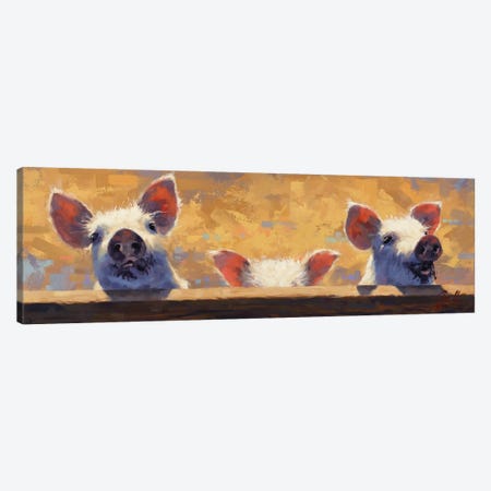 Three Little Pigs Canvas Print #JCY81} by Jim Connelly Art Print