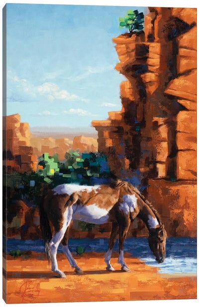 Water Hole Canvas Art Print - Jim Connelly