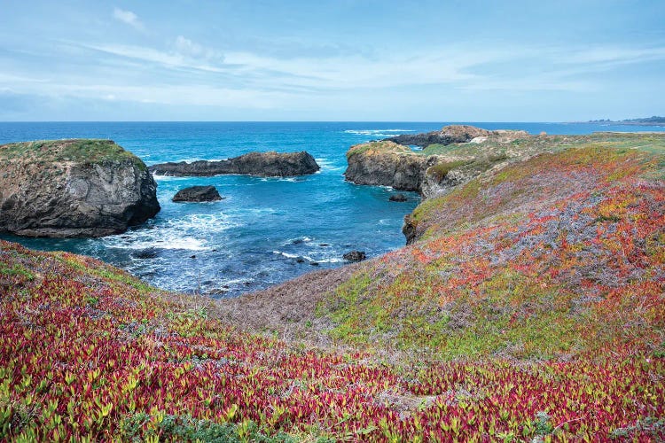 USA, California. Pacific Ocean, Cliffs Edge In Mendocino Headlands State Park. by Janell Davidson wall art