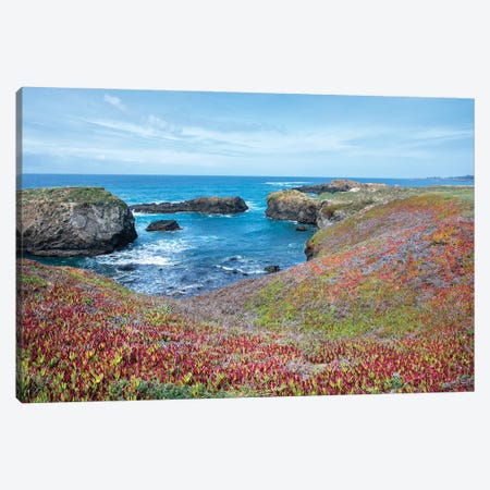 USA, California. Pacific Ocean, Cliffs Edge In Mendocino Headlands State Park. Canvas Print #JDA3} by Janell Davidson Canvas Wall Art