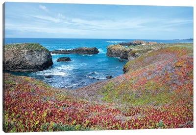 USA, California. Pacific Ocean, Cliffs Edge In Mendocino Headlands State Park. Canvas Art Print