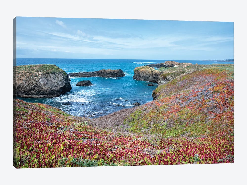 USA, California. Pacific Ocean, Cliffs Edge In Mendocino Headlands State Park. by Janell Davidson 1-piece Canvas Print