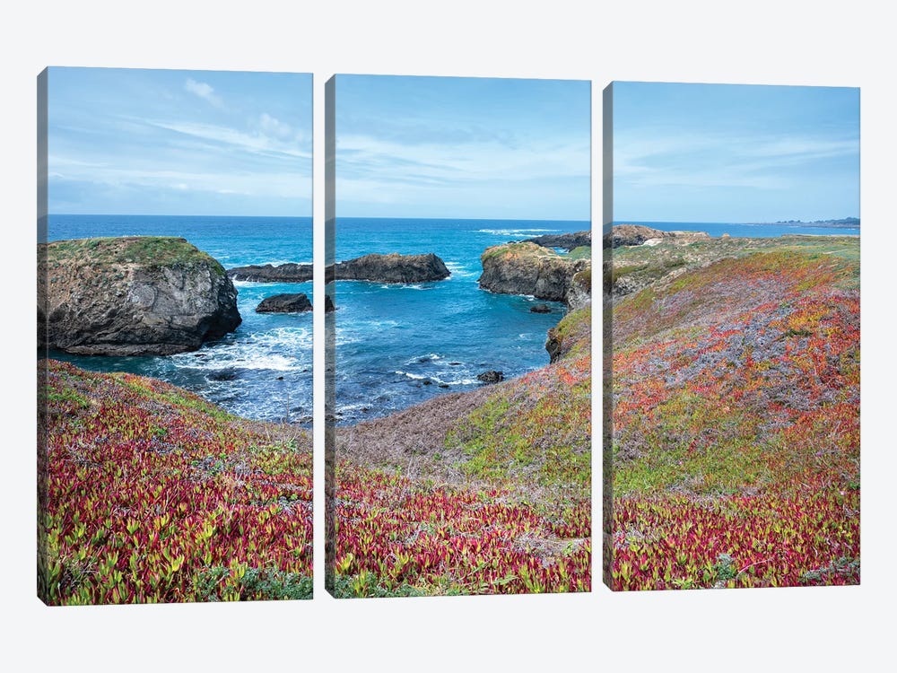USA, California. Pacific Ocean, Cliffs Edge In Mendocino Headlands State Park. by Janell Davidson 3-piece Art Print
