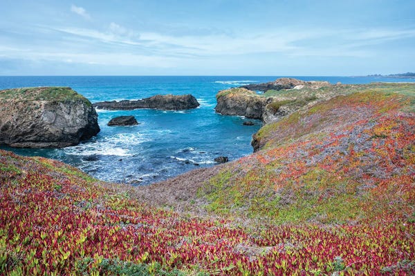 California: USA, California. Pacific Ocean, Cliffs Edge In Mendocino Headlands State Park. by Janell Davidson