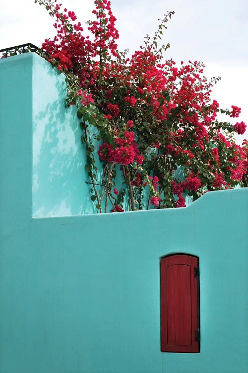 Mexico, Baja California Sur. Loreto Bay, Colorful Home And Climbing Azalea