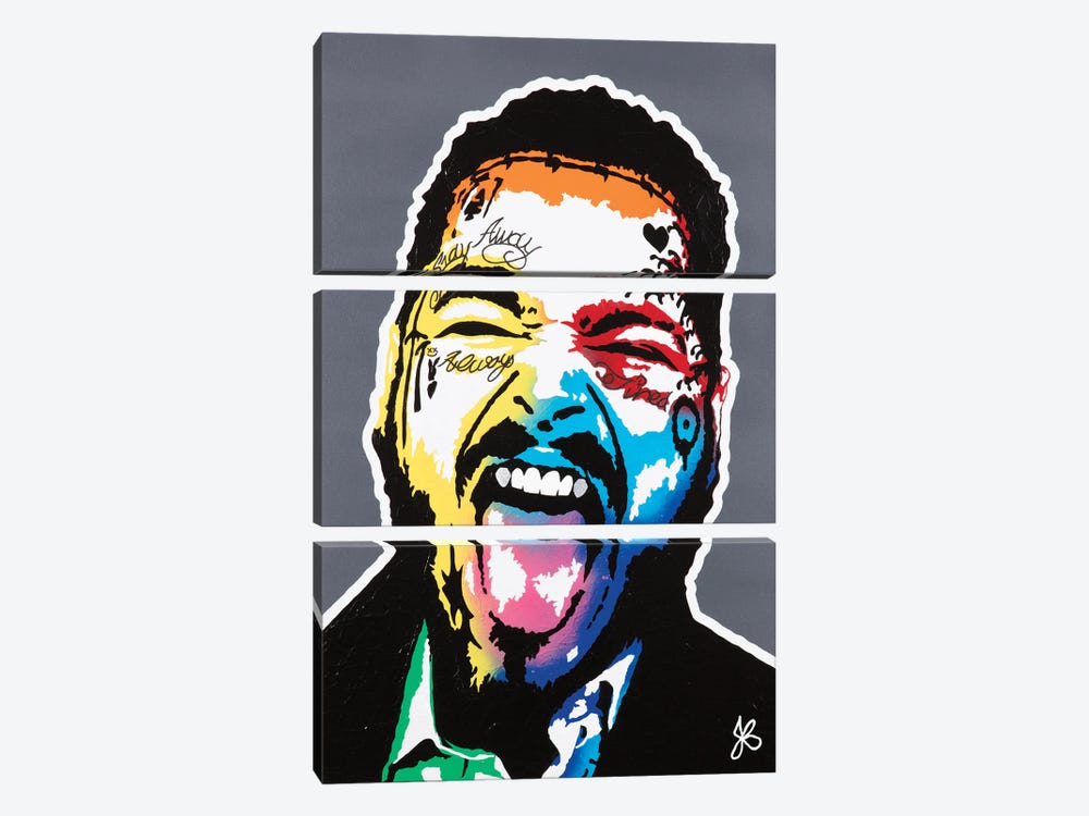 Million Dollar Smile by Jared Bowman 3-piece Canvas Wall Art