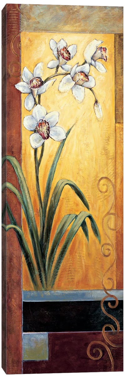 Orchid Canvas Art Print