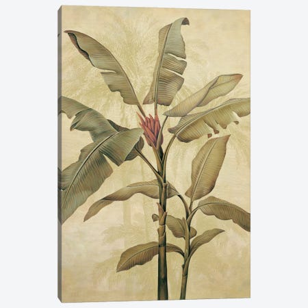 Palms Of The Tropics I Canvas Print #JDE17} by Jill Deveraux Canvas Art