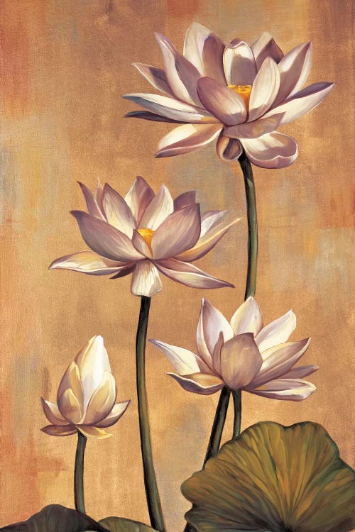White Lotus by Jill Deveraux wall art