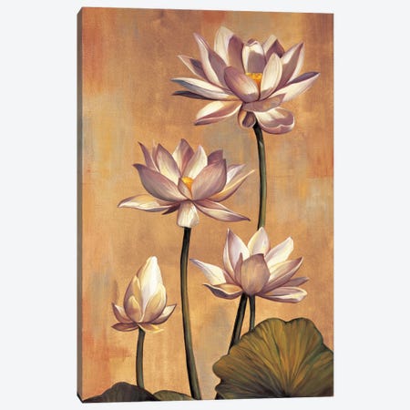 White Lotus Canvas Print #JDE19} by Jill Deveraux Canvas Art Print