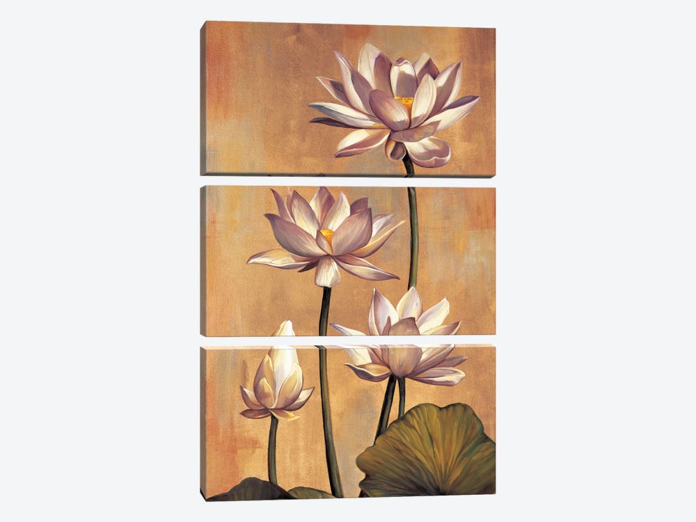 White Lotus by Jill Deveraux 3-piece Canvas Print