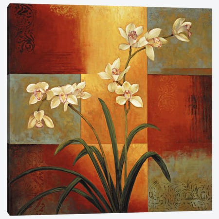White Orchid Canvas Print #JDE20} by Jill Deveraux Canvas Wall Art