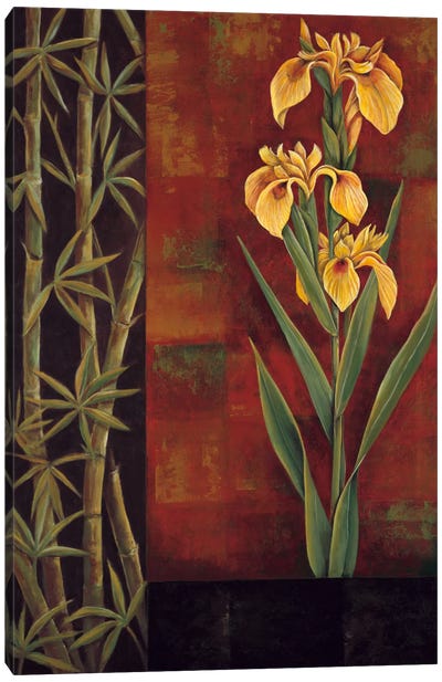 Yellow Iris Canvas Art Print