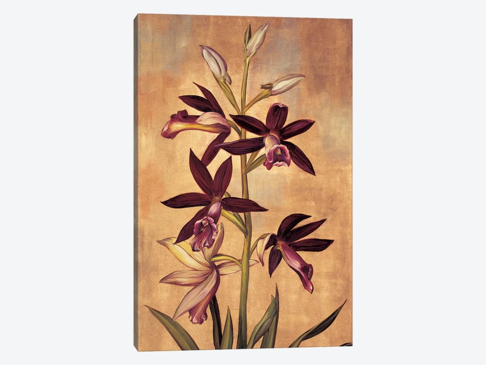 Burgundy Orchid Canvas Wall Art By Jill Deveraux Icanvas