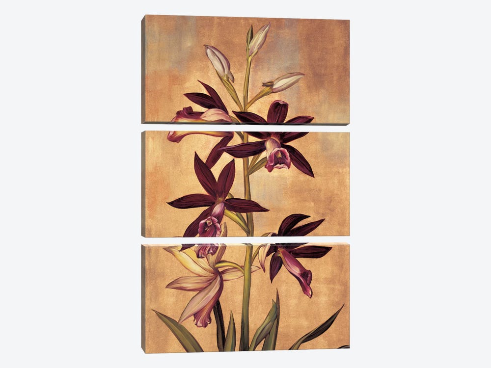 Burgundy Orchid by Jill Deveraux 3-piece Canvas Art
