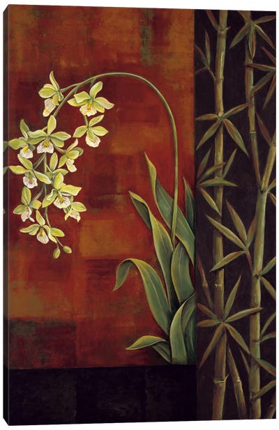 Green Orchid Canvas Art Print - Orchid Art