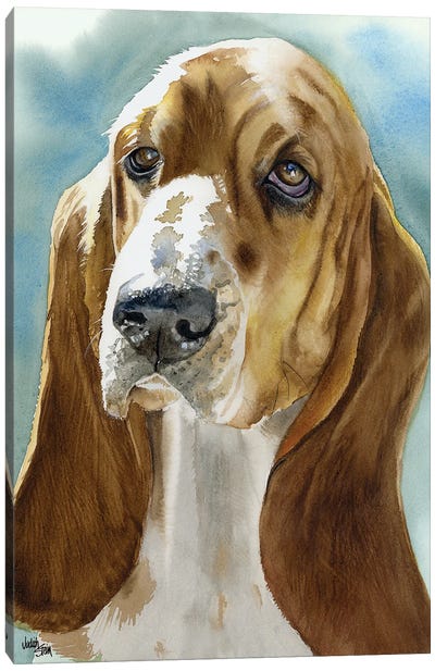 Low Profile - Basset Hound Canvas Art Print - Basset Hound Art