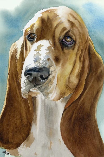 Basset Hounds: Low Profile - Basset Hound by Judith Stein