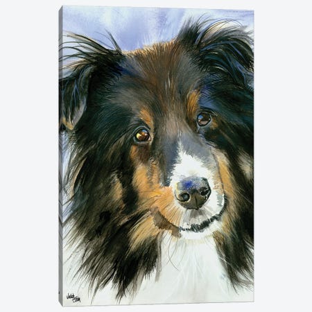 Lucy in the Sky - Shetland Sheepdog Canvas Print #JDI102} by Judith Stein Canvas Art