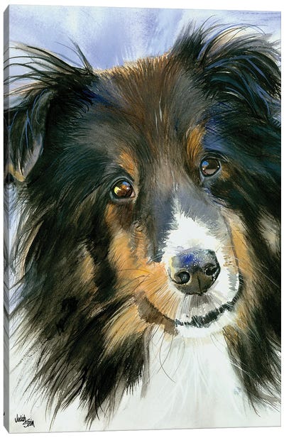 Lucy in the Sky - Shetland Sheepdog Canvas Art Print - Judith Stein