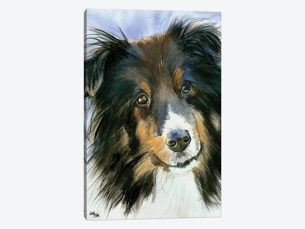 Lucy in the Sky - Shetland Sheepdog by Judith Stein 1-piece Canvas Print