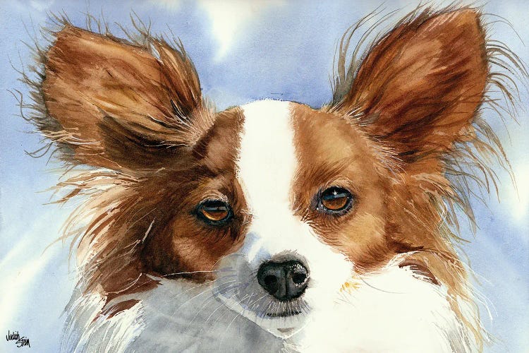 Madame Butterfly - Papillon Dog