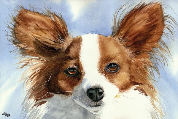 Spaniels: Madame Butterfly - Papillon Dog by Judith Stein