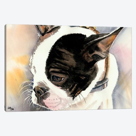 Made in American - Boston Terrier Puppy Canvas Print #JDI104} by Judith Stein Art Print