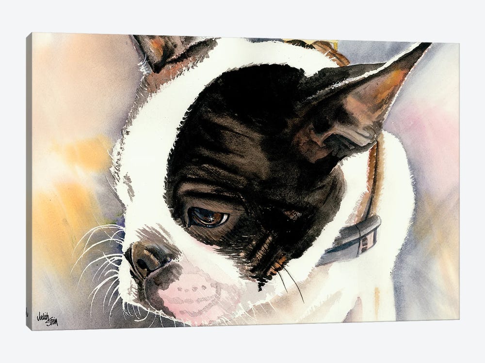 Made in American - Boston Terrier Puppy by Judith Stein 1-piece Art Print