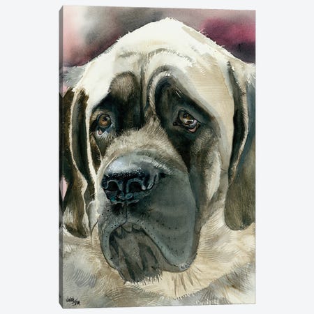 Masty - English Mastiff Canvas Print #JDI108} by Judith Stein Canvas Artwork