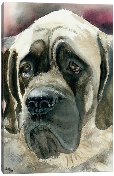 Masty - English Mastiff Canvas Art Print - Judith Stein