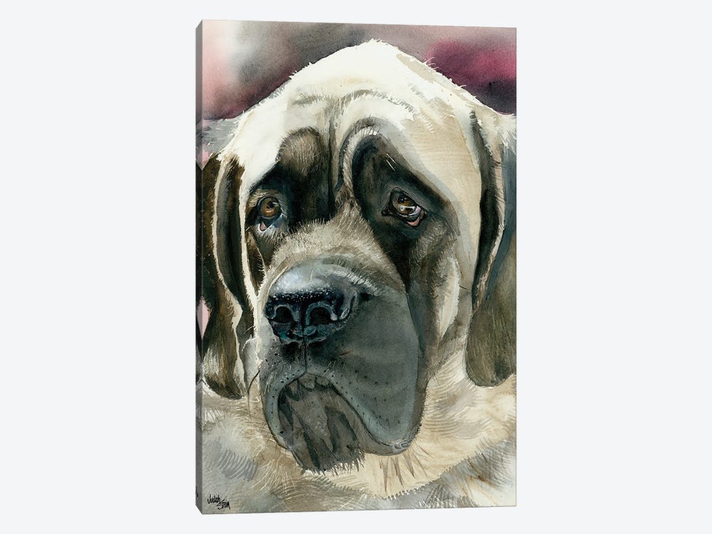 Masty - English Mastiff 1-piece Canvas Print