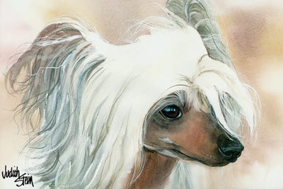 Bad Hair Day - Chinese Crested by Judith Stein framed wall art