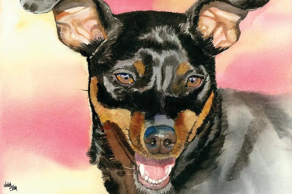 Miniature Pinschers: Min Pin - Miniature Pinscher by Judith Stein