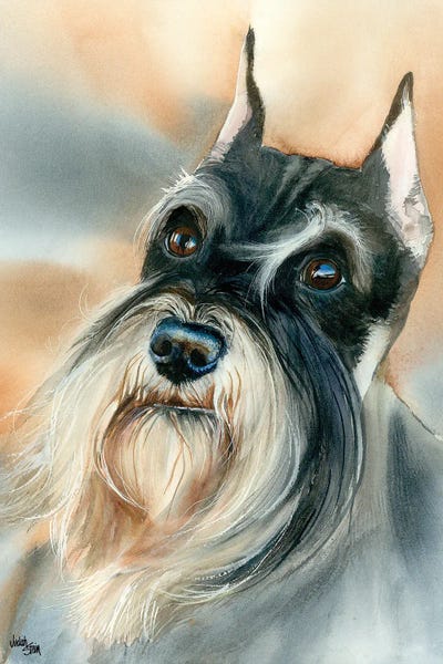 Schnauzers: Mustachio - Miniature Schnauzer by Judith Stein