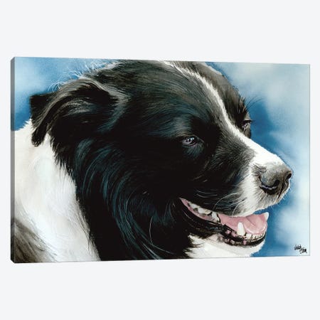 Name Game - Border Collie Canvas Print #JDI112} by Judith Stein Canvas Print