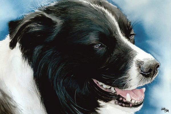 Border Collies: Name Game - Border Collie by Judith Stein