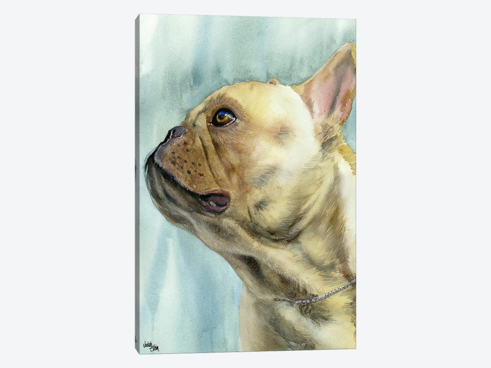No Biggie - French Bulldog by Judith Stein 1-piece Canvas Art Print