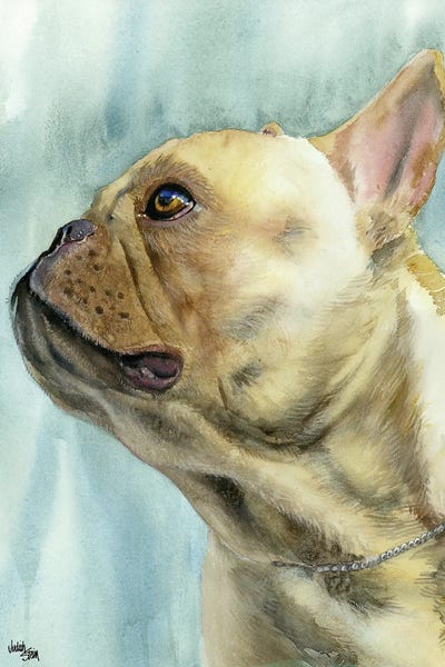 French Bulldogs: No Biggie - French Bulldog by Judith Stein