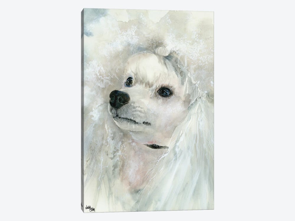 Pampered Pooch - Miniature White Poodle by Judith Stein 1-piece Canvas Artwork