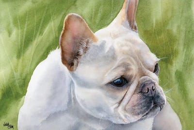 Pants - French Bulldog Fawn by Judith Stein acrylic art print