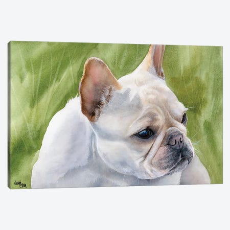 Pants - French Bulldog Fawn Canvas Print #JDI115} by Judith Stein Canvas Artwork
