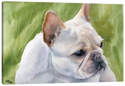 Pants - French Bulldog Fawn Canvas Art Print - Celery