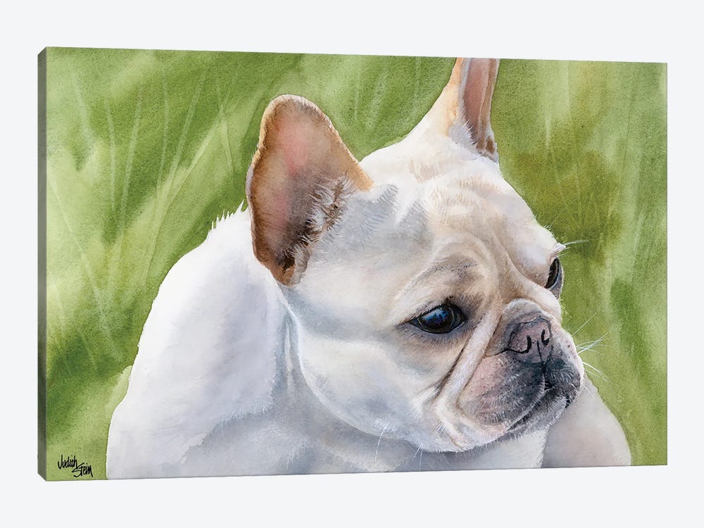Pants - French Bulldog Fawn 1-piece Art Print