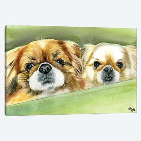 Peke Pups Canvas Print #JDI116} by Judith Stein Canvas Wall Art