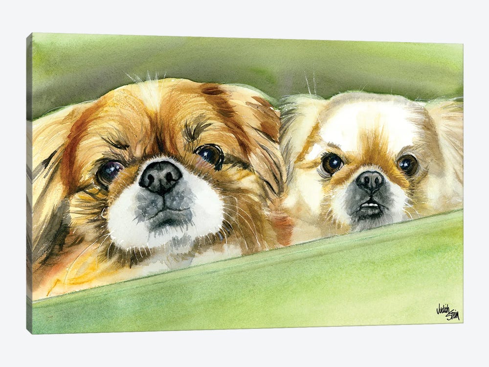 Peke Pups by Judith Stein 1-piece Canvas Artwork