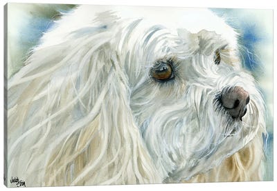Perfect Pet - Cavachon Dog Canvas Art Print - Bichon Frise Art