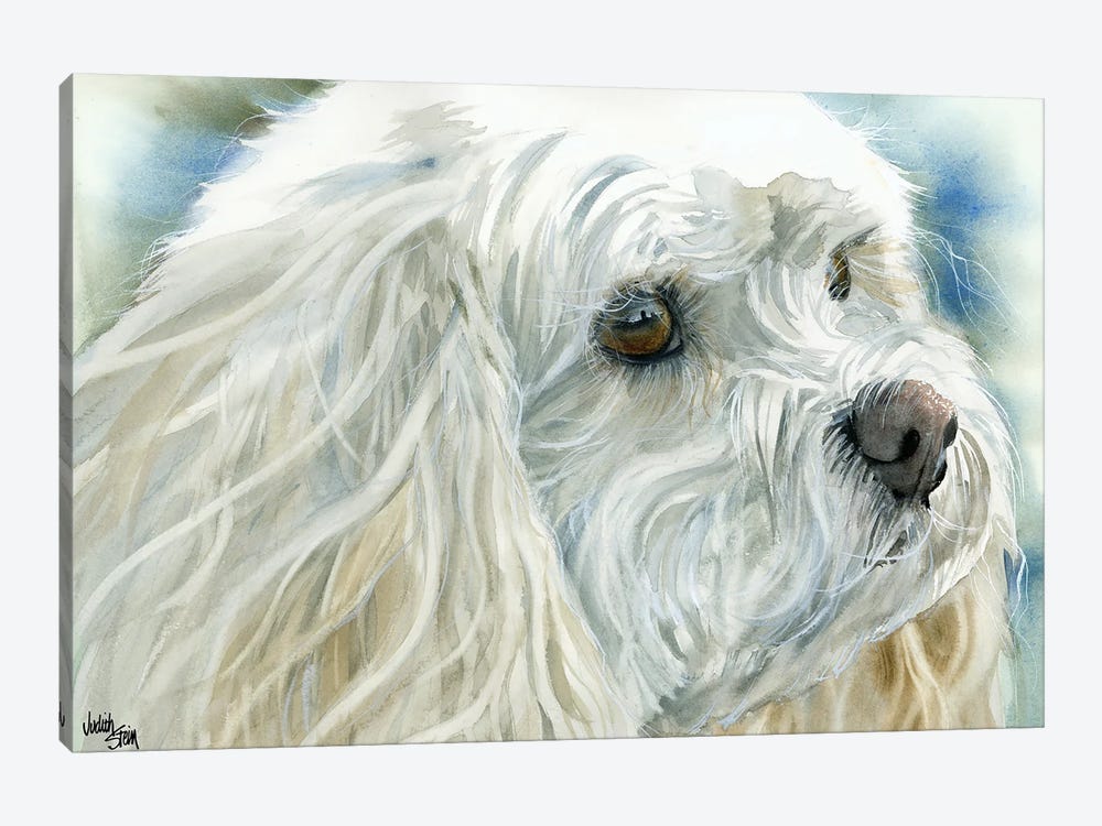 Perfect Pet - Cavachon Dog by Judith Stein 1-piece Art Print