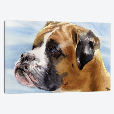 Peter Pan - Boxer Dog Canvas Print #JDI118} by Judith Stein Canvas Print