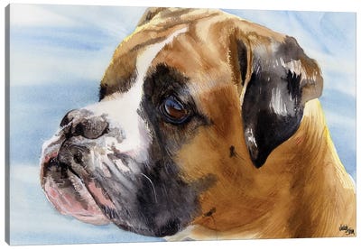 Peter Pan - Boxer Dog Canvas Art Print - Judith Stein